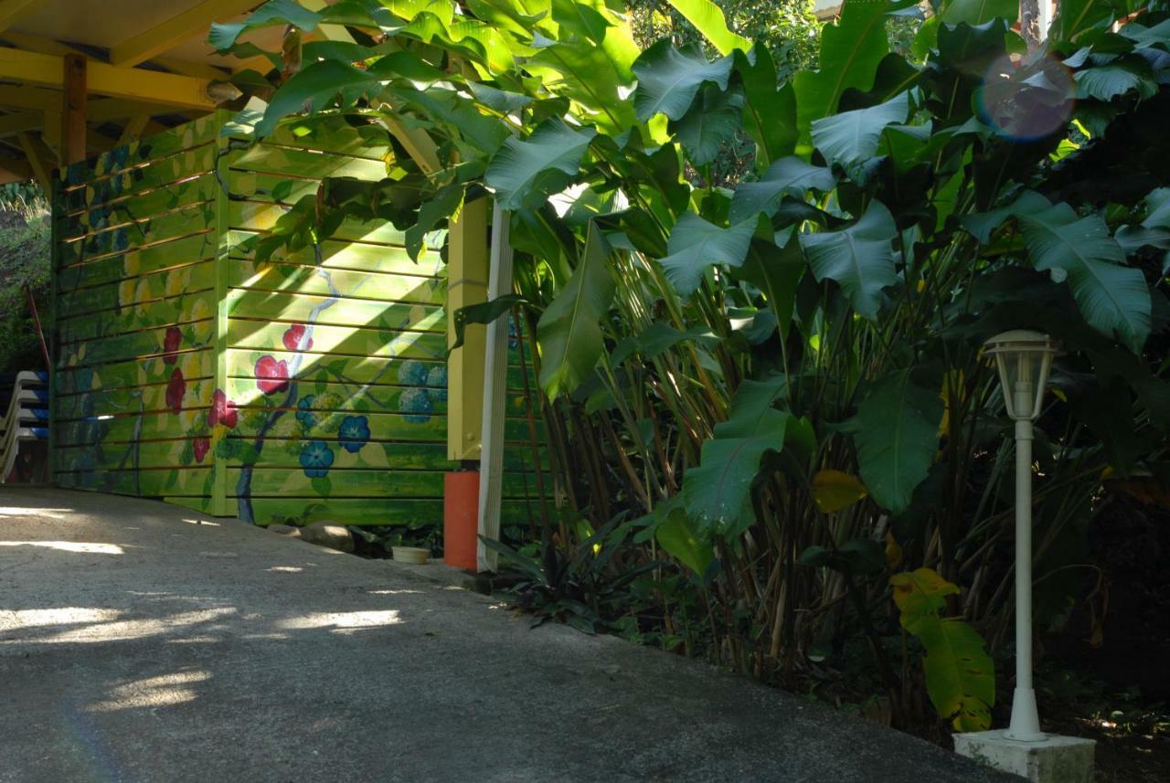 דסהייס Green House מראה חיצוני תמונה