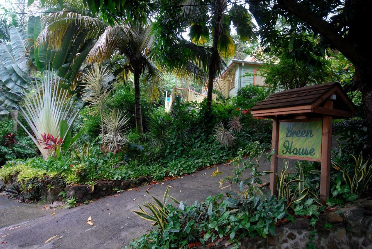 דסהייס Green House מראה חיצוני תמונה